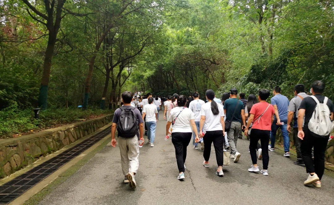 【动态】认真工作，快乐生活——凯发官网首页科技六周年登山活动圆满落幕