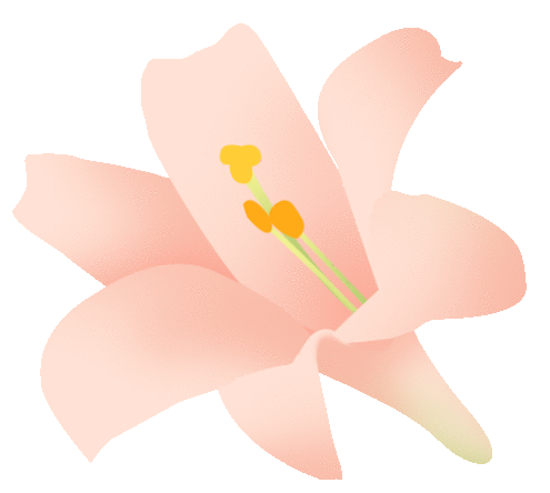 【动态】春日有约 遇见“莓”好—— 安徽凯发官网首页女神节采摘活动